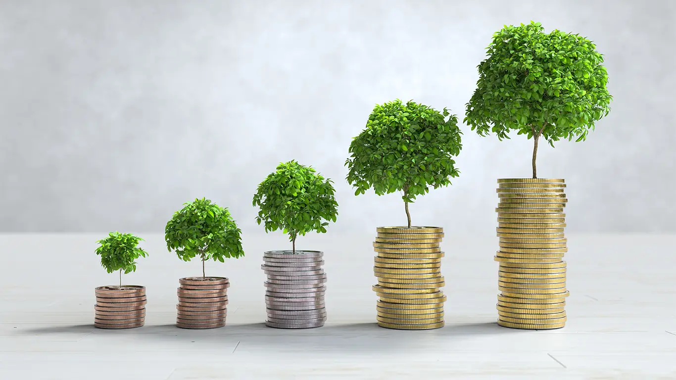Bharuch financial planning services